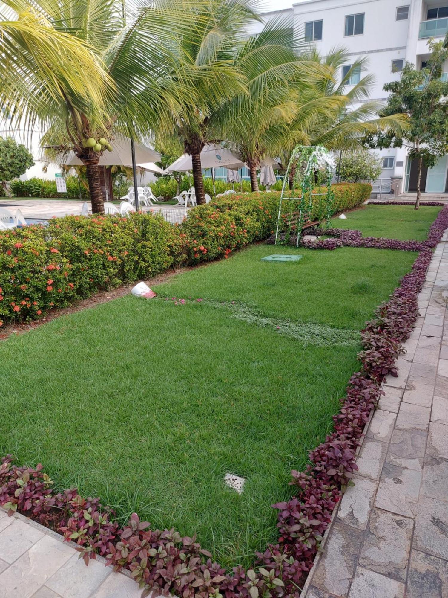 Flat Terreo Palm Village Acqua Pôrto das Galinhas 外观 照片